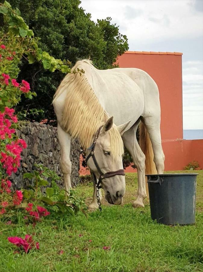 Quinta da Falésia - Casa Amarela Ponta Delgada Esterno foto
