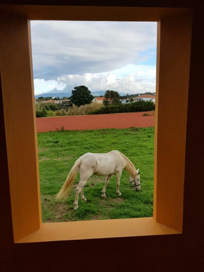 Quinta da Falésia - Casa Amarela Ponta Delgada Esterno foto