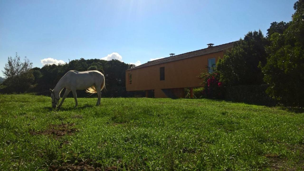 Quinta da Falésia - Casa Amarela Ponta Delgada Esterno foto