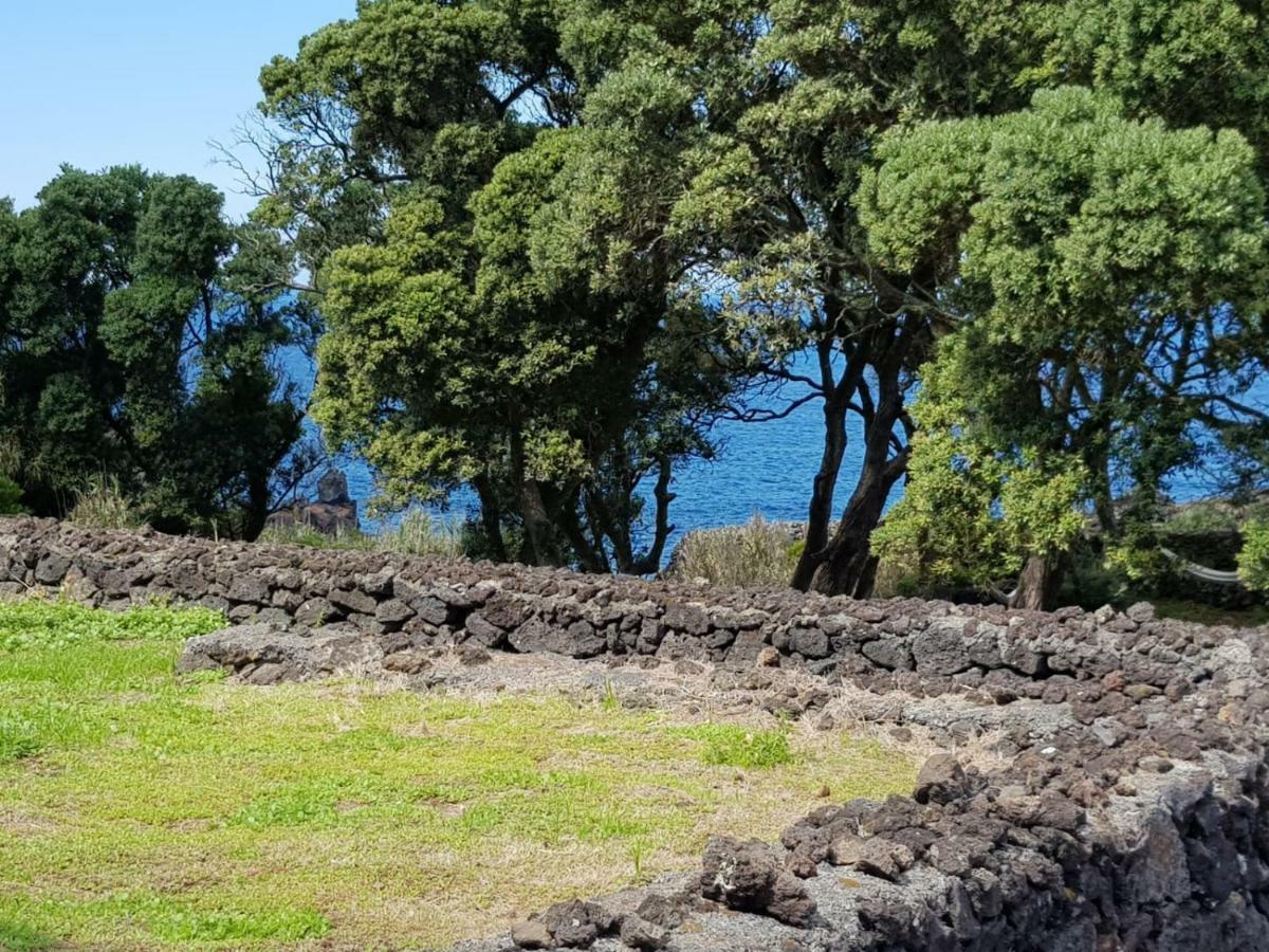 Quinta da Falésia - Casa Amarela Ponta Delgada Esterno foto