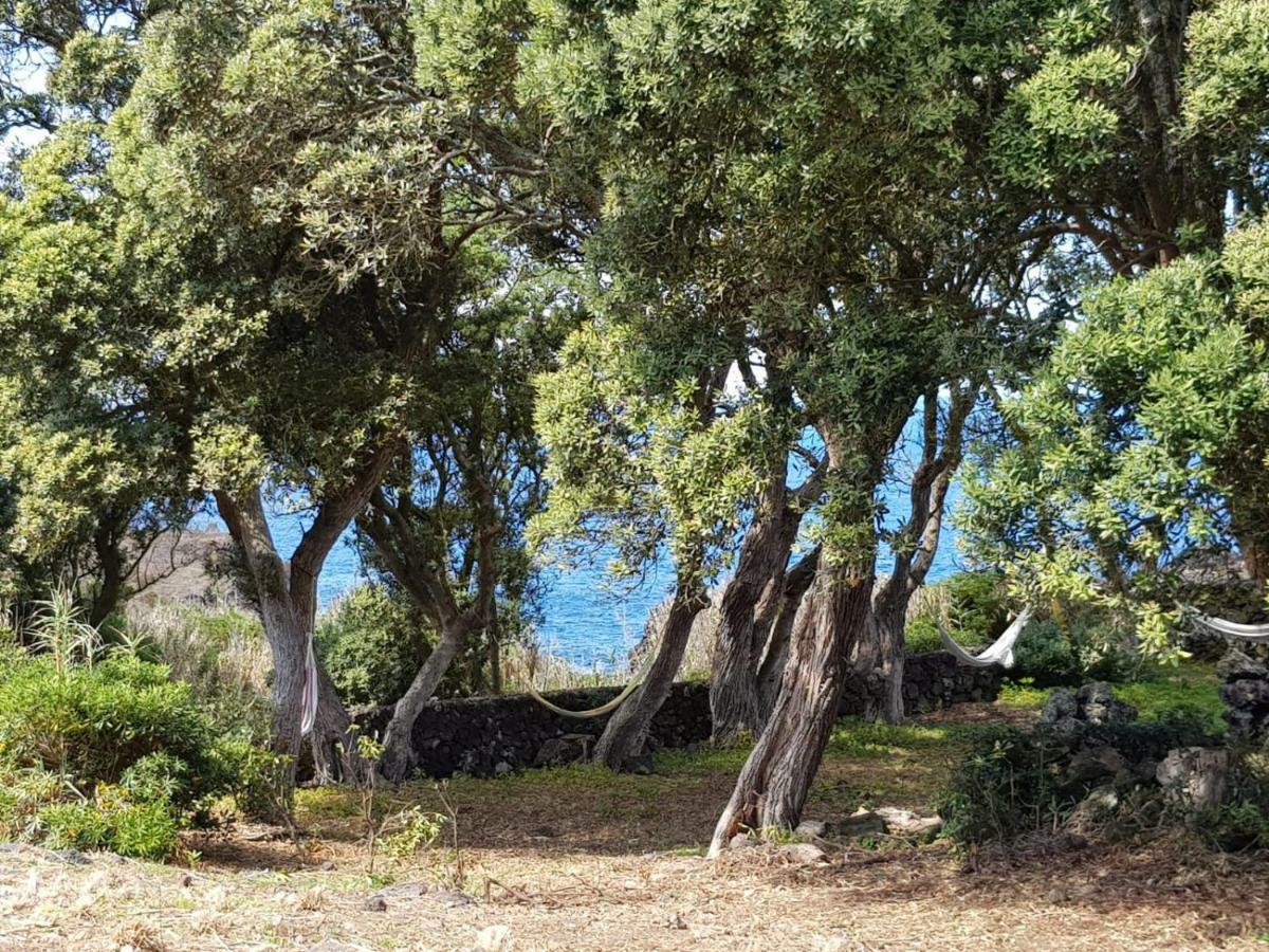 Quinta da Falésia - Casa Amarela Ponta Delgada Esterno foto