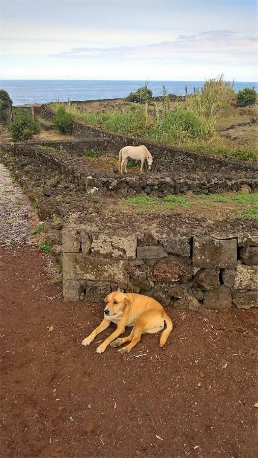 Quinta da Falésia - Casa Amarela Ponta Delgada Esterno foto